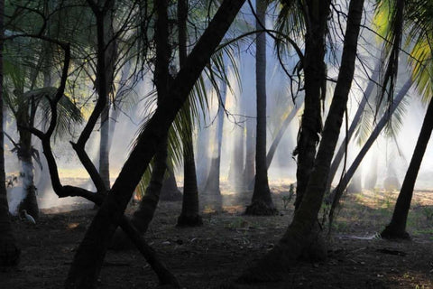 Sunset Enchantment 1 White Modern Wood Framed Art Print with Double Matting by Rauscher, Michel