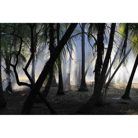 Sunset Enchantment 1 Black Modern Wood Framed Art Print with Double Matting by Rauscher, Michel