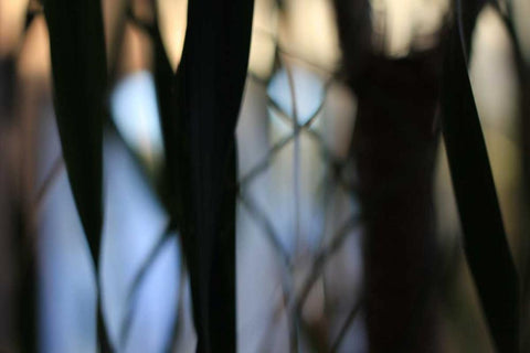 Sunset Enchantment 3 White Modern Wood Framed Art Print with Double Matting by Rauscher, Michel