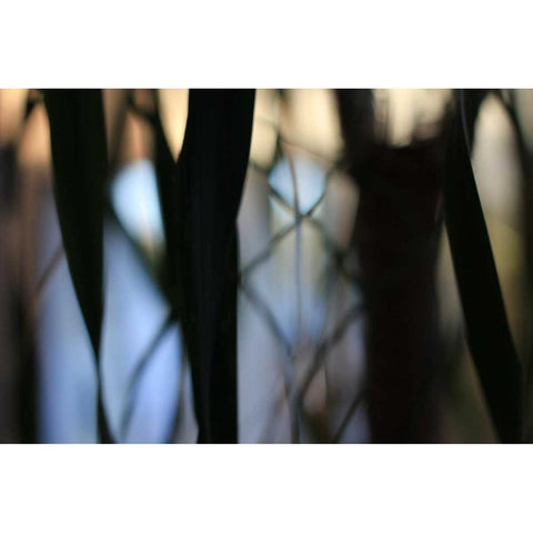 Sunset Enchantment 3 White Modern Wood Framed Art Print by Rauscher, Michel