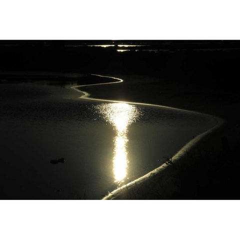 Moonlight Enchantment 2 Black Modern Wood Framed Art Print with Double Matting by Rauscher, Michel