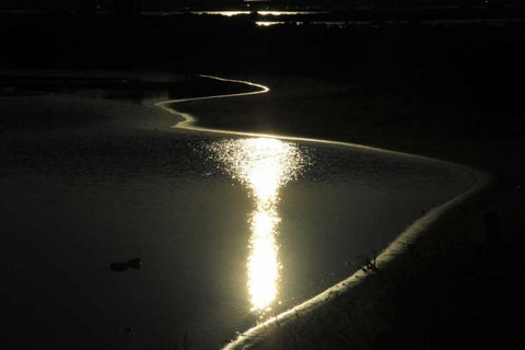 Moonlight Enchantment 2 White Modern Wood Framed Art Print with Double Matting by Rauscher, Michel