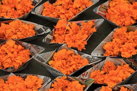 Global Orange 1 Black Ornate Wood Framed Art Print with Double Matting by Rauscher, Michel