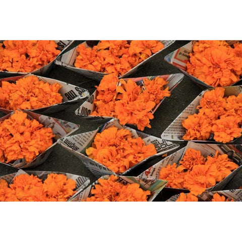 Global Orange 1 Black Modern Wood Framed Art Print with Double Matting by Rauscher, Michel