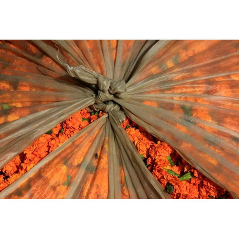 Global Orange 3 Gold Ornate Wood Framed Art Print with Double Matting by Rauscher, Michel