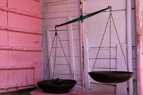 Scales in Pink White Modern Wood Framed Art Print with Double Matting by Rauscher, Michel