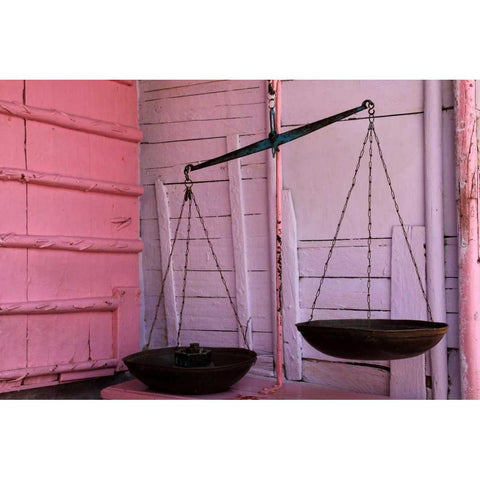 Scales in Pink Black Modern Wood Framed Art Print by Rauscher, Michel