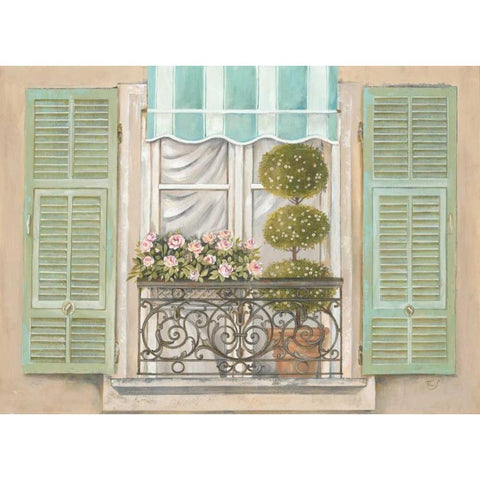 French Shutters 1 Black Modern Wood Framed Art Print with Double Matting by Ferri, Stefania