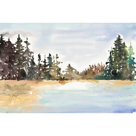 Evergreen View Black Modern Wood Framed Art Print with Double Matting by Gold, Lora