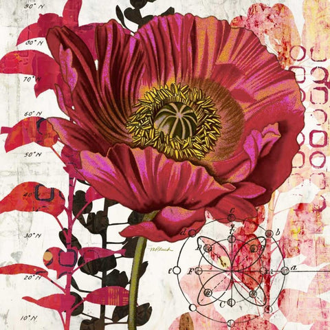 Red Poppy Story   White Modern Wood Framed Art Print with Double Matting by Pluch, Melissa