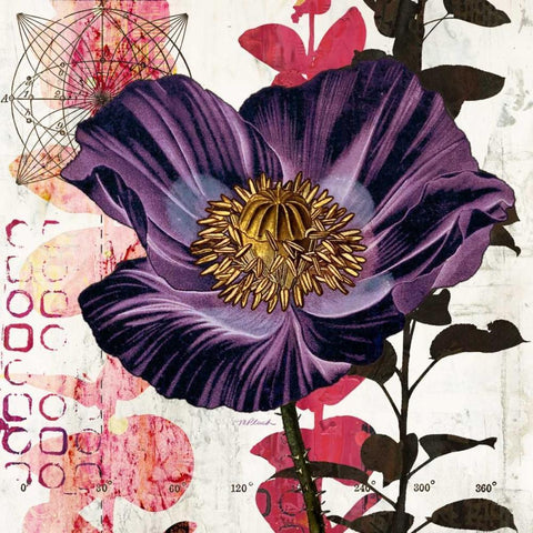 Plum Poppy Story White Modern Wood Framed Art Print with Double Matting by Pluch, Melissa