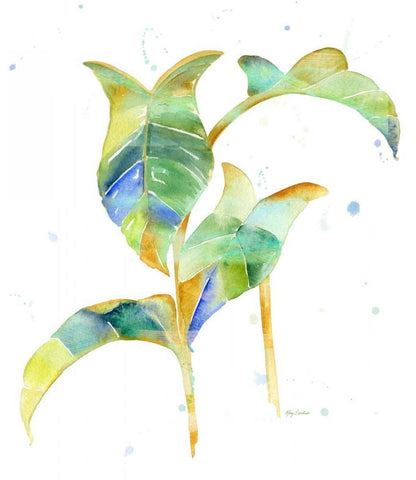 Watercolour Tropical 4 Black Ornate Wood Framed Art Print with Double Matting by Escobedo, Mary