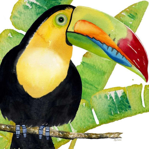 Tropical Toucan Black Modern Wood Framed Art Print with Double Matting by Escobedo, Mary