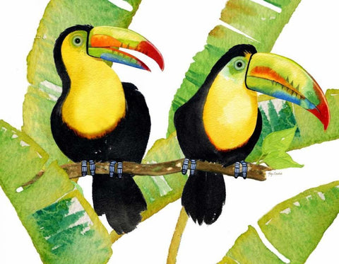 Tropcial Toucan Pair Black Ornate Wood Framed Art Print with Double Matting by Escobedo, Mary
