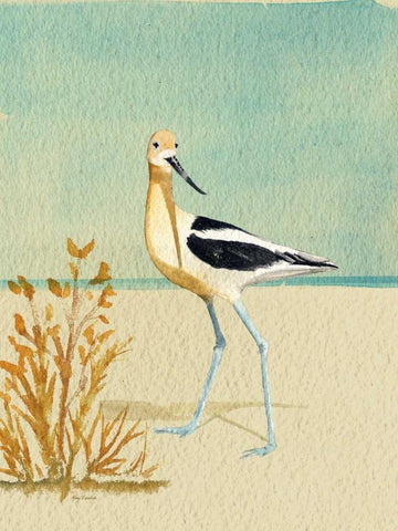 Avocet By The Sea White Modern Wood Framed Art Print with Double Matting by Escobedo, Mary