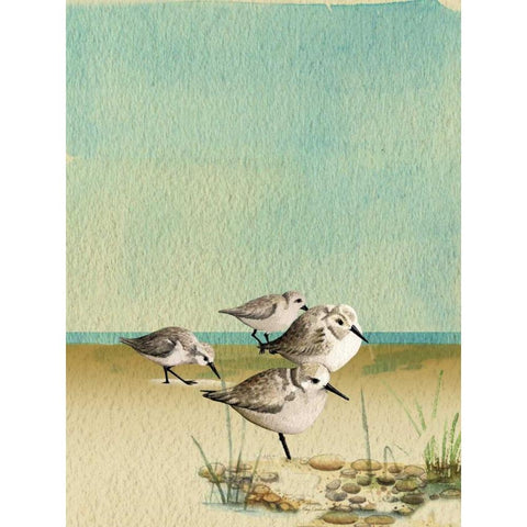 Sandpipers By The Sea Gold Ornate Wood Framed Art Print with Double Matting by Escobedo, Mary