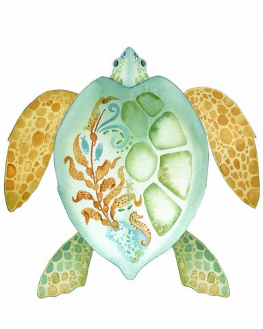 Tropical Sea Turtle 1 Black Ornate Wood Framed Art Print with Double Matting by Escobedo, Mary