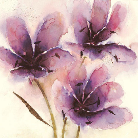 In Bloom 4 White Modern Wood Framed Art Print with Double Matting by Gottschlag, Jurgen