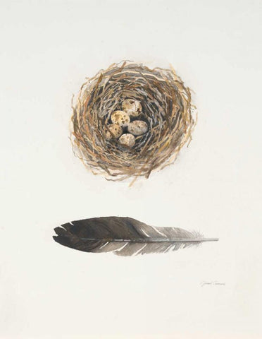 Field Study Nest Black Ornate Wood Framed Art Print with Double Matting by Gottschlag, Jurgen