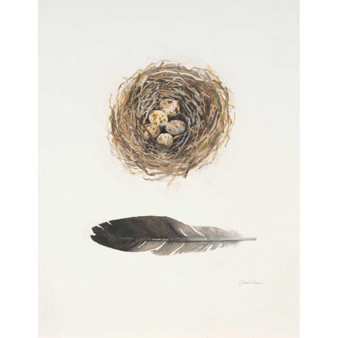 Field Study Nest Black Modern Wood Framed Art Print by Gottschlag, Jurgen