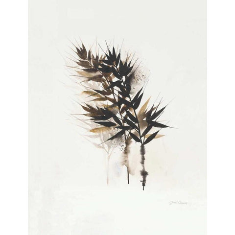 Field Study Grasses Black Modern Wood Framed Art Print with Double Matting by Gottschlag, Jurgen