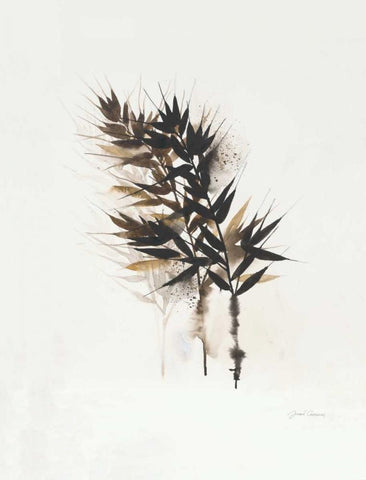 Field Study Grasses Black Ornate Wood Framed Art Print with Double Matting by Gottschlag, Jurgen