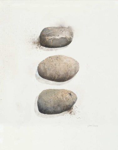 Field Study Stone  White Modern Wood Framed Art Print with Double Matting by Gottschlag, Jurgen