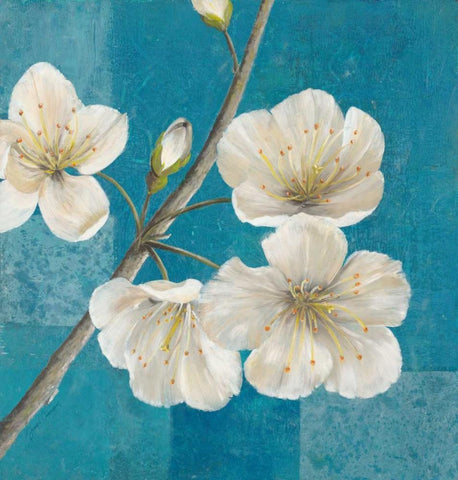Blossom Bough                            White Modern Wood Framed Art Print with Double Matting by Gottschlag, Jurgen