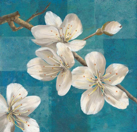 Blossom Branch                           White Modern Wood Framed Art Print with Double Matting by Gottschlag, Jurgen