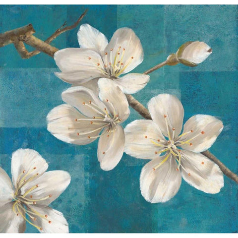 Blossom Branch                           Black Modern Wood Framed Art Print with Double Matting by Gottschlag, Jurgen