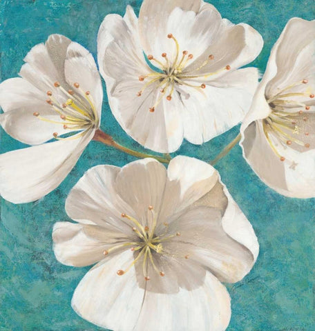 Blossom Beauty                       White Modern Wood Framed Art Print with Double Matting by Gottschlag, Jurgen