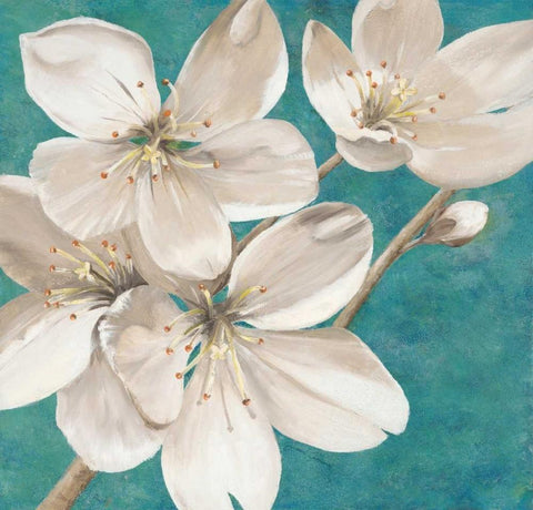 Blossom Bounty                       Black Ornate Wood Framed Art Print with Double Matting by Gottschlag, Jurgen