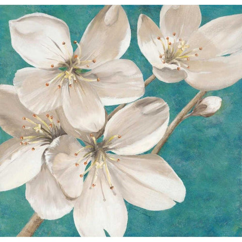 Blossom Bounty                       White Modern Wood Framed Art Print by Gottschlag, Jurgen
