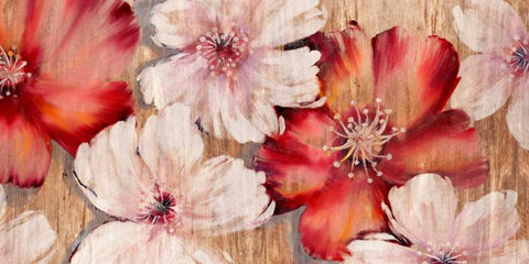 Barnwood Blossoms Black Ornate Wood Framed Art Print with Double Matting by Gottschlag, Jurgen