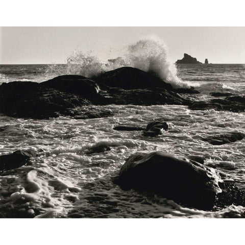 Roar of the Ocean White Modern Wood Framed Art Print by Aniballi, Brett