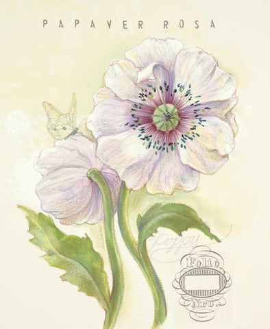 Claires Garden Poppy Black Ornate Wood Framed Art Print with Double Matting by Della-Piana, Elissa
