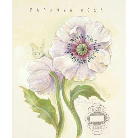 Claires Garden Poppy White Modern Wood Framed Art Print by Della-Piana, Elissa