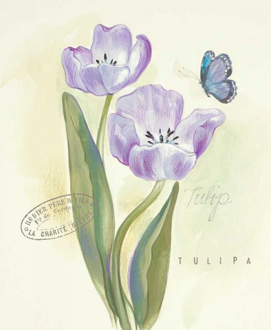 Claires Garden Tulip  White Modern Wood Framed Art Print with Double Matting by Della-Piana, Elissa