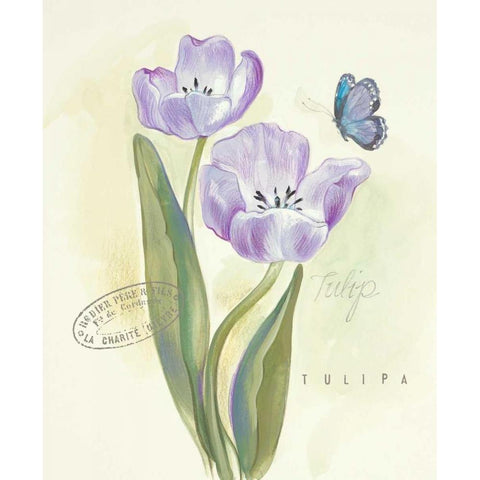 Claires Garden Tulip  Black Modern Wood Framed Art Print with Double Matting by Della-Piana, Elissa