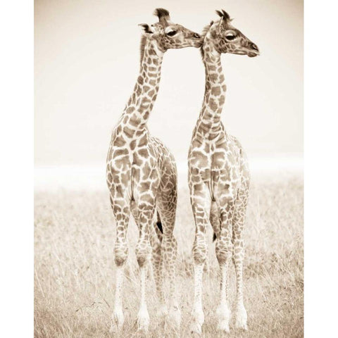 Spirit of Life 1 Gold Ornate Wood Framed Art Print with Double Matting by Parker Nature Photography, Frank and Susann