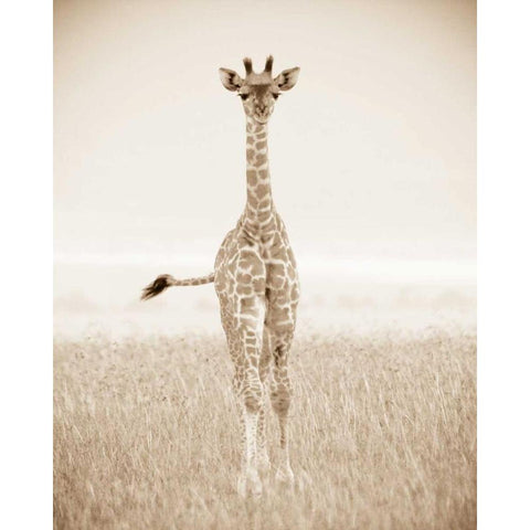 Spirit of Life 2 Black Modern Wood Framed Art Print with Double Matting by Parker Nature Photography, Frank and Susann