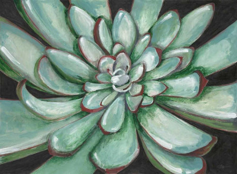 Desert Succulent Black Ornate Wood Framed Art Print with Double Matting by Ioco, Filippo