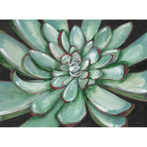 Desert Succulent Black Modern Wood Framed Art Print by Ioco, Filippo