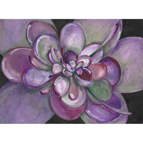 Plum Succulent  Black Modern Wood Framed Art Print with Double Matting by Ioco, Filippo