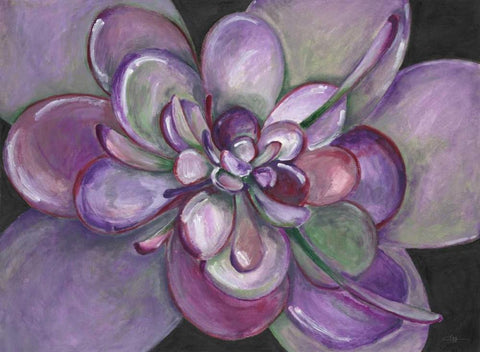 Plum Succulent  White Modern Wood Framed Art Print with Double Matting by Ioco, Filippo