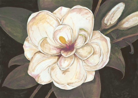 Southern Magnolia White Modern Wood Framed Art Print with Double Matting by Ioco, Fillippo