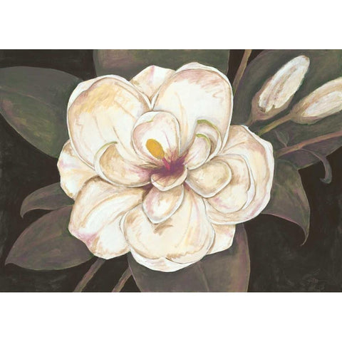 Southern Magnolia Gold Ornate Wood Framed Art Print with Double Matting by Ioco, Fillippo