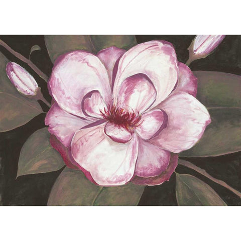 Blushing Magnolia Black Modern Wood Framed Art Print with Double Matting by Ioco, Fillippo