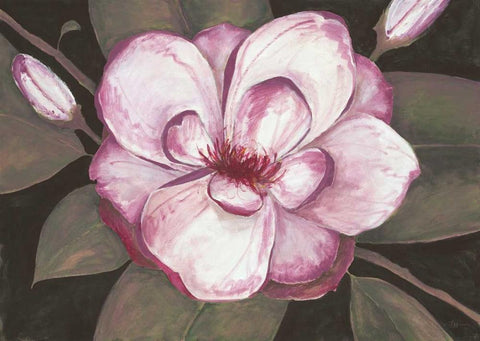 Blushing Magnolia Black Ornate Wood Framed Art Print with Double Matting by Ioco, Fillippo