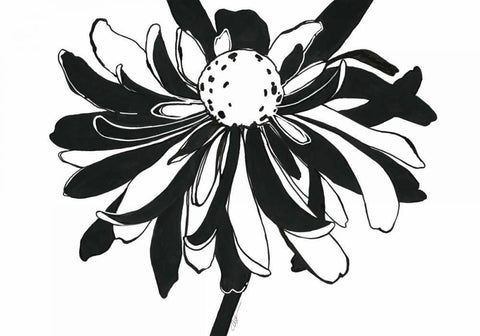 Ardent Bloom White Modern Wood Framed Art Print with Double Matting by Ioco, Filippo